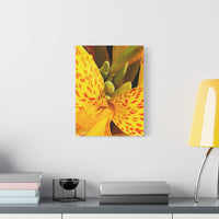 Thumbnail for Vibrant Floral Canvas Art - Bright Yellow Canna Artwork, Wall Decor, Gift for Nature Lovers, Home Decoration, Floral Prints