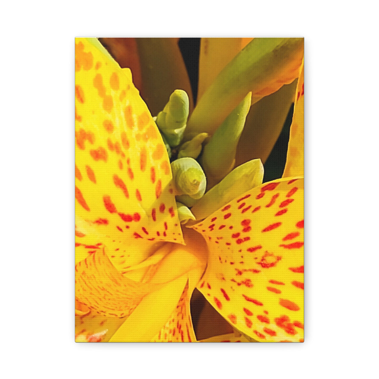 Vibrant Floral Canvas Art - Bright Yellow Canna Artwork, Wall Decor, Gift for Nature Lovers, Home Decoration, Floral Prints