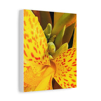 Thumbnail for Vibrant Floral Canvas Art - Bright Yellow Canna Artwork, Wall Decor, Gift for Nature Lovers, Home Decoration, Floral Prints