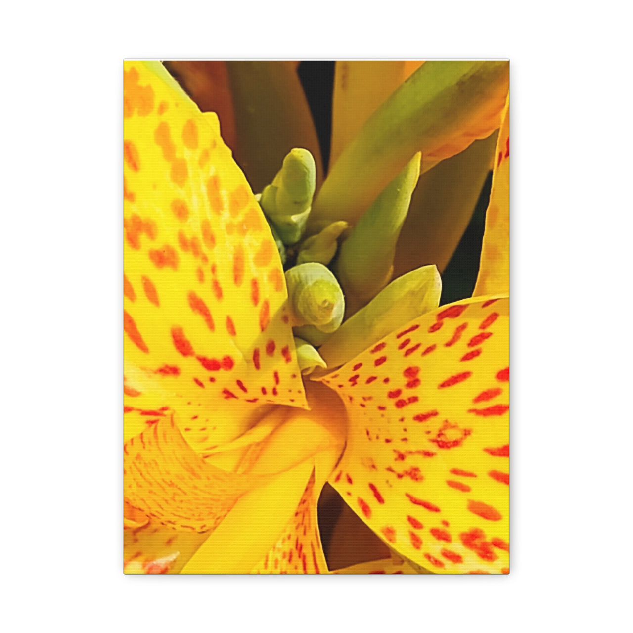 Vibrant Floral Canvas Art - Bright Yellow Canna Artwork, Wall Decor, Gift for Nature Lovers, Home Decoration, Floral Prints