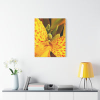 Thumbnail for Vibrant Floral Canvas Art - Bright Yellow Canna Artwork, Wall Decor, Gift for Nature Lovers, Home Decoration, Floral Prints