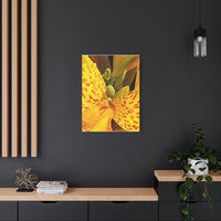 Thumbnail for Vibrant Floral Canvas Art - Bright Yellow Canna Artwork, Wall Decor, Gift for Nature Lovers, Home Decoration, Floral Prints