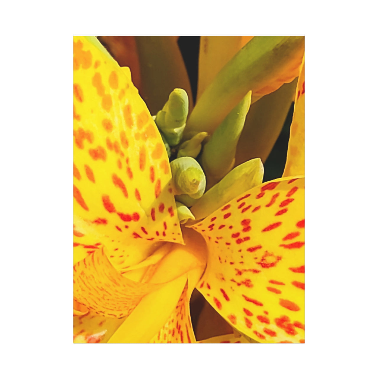 Vibrant Floral Canvas Art - Bright Yellow Canna Artwork, Wall Decor, Gift for Nature Lovers, Home Decoration, Floral Prints