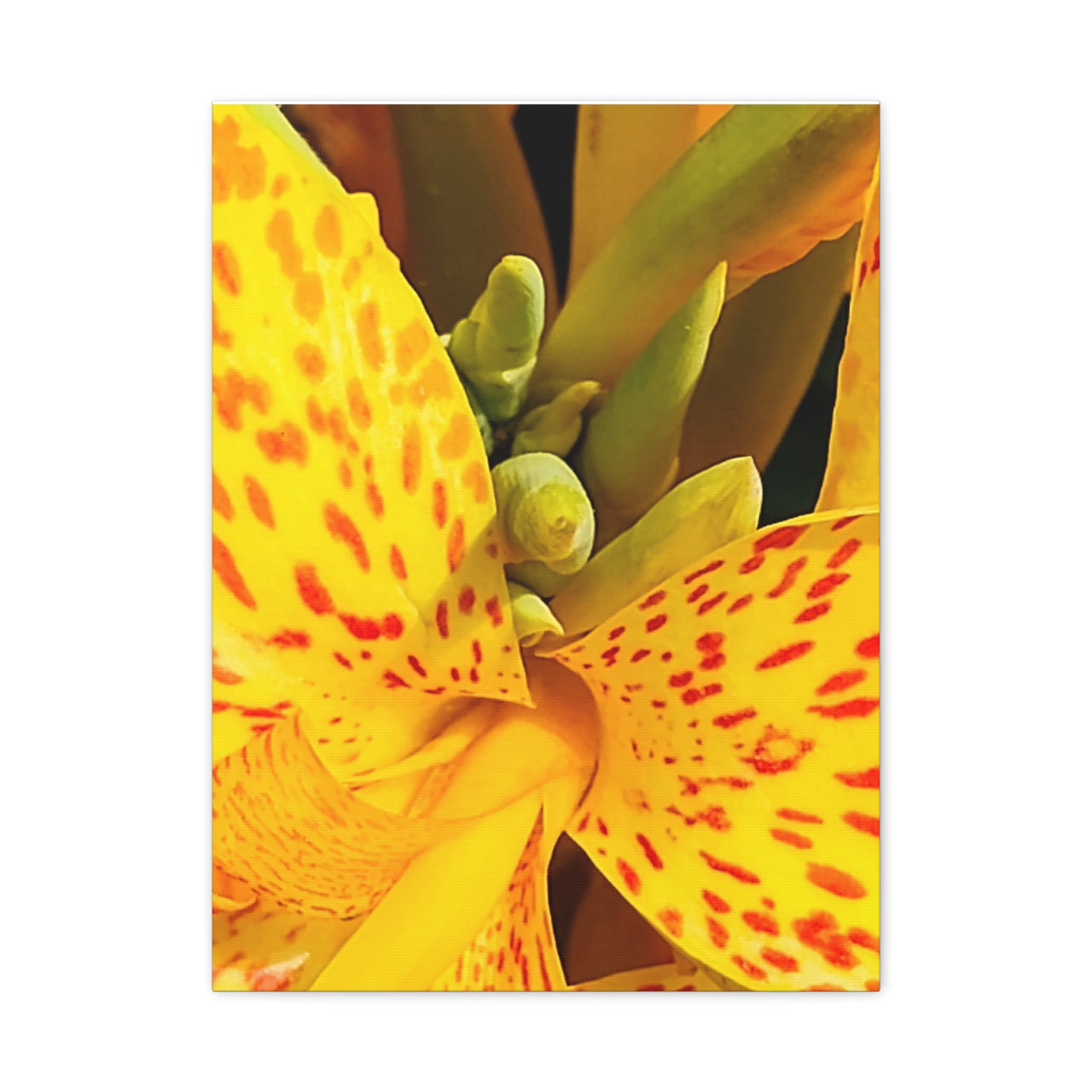 Vibrant Floral Canvas Art - Bright Yellow Canna Artwork, Wall Decor, Gift for Nature Lovers, Home Decoration, Floral Prints