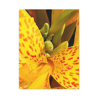 Thumbnail for Vibrant Floral Canvas Art - Bright Yellow Canna Artwork, Wall Decor, Gift for Nature Lovers, Home Decoration, Floral Prints
