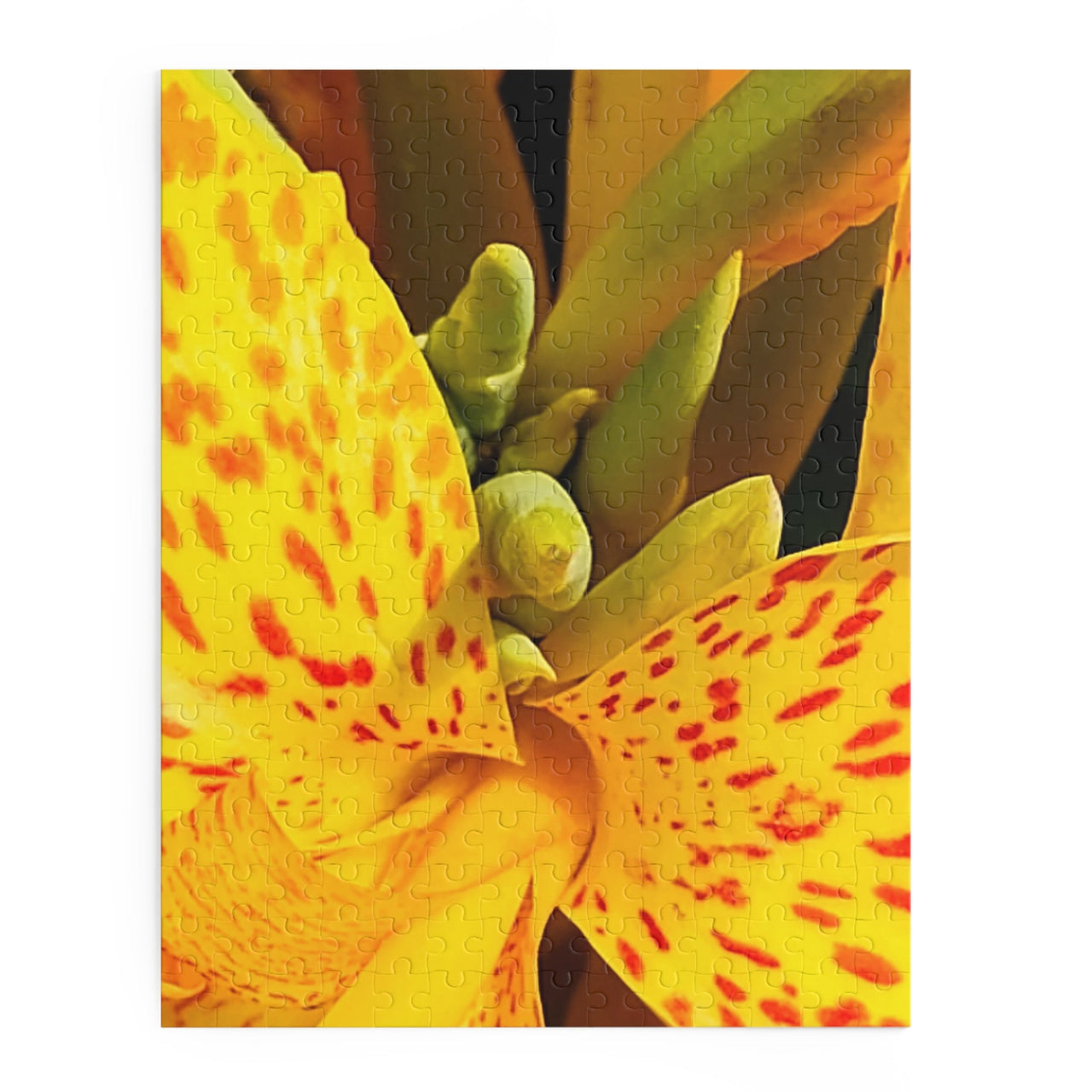 Flower Puzzle - 252, 500-Piece - Beautiful Yellow Canna, Gift for Nature Lovers, Family Fun