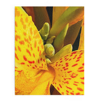 Thumbnail for Flower Puzzle - 252, 500-Piece - Beautiful Yellow Canna, Gift for Nature Lovers, Family Fun
