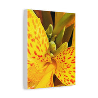 Thumbnail for Vibrant Floral Canvas Art - Bright Yellow Canna Artwork, Wall Decor, Gift for Nature Lovers, Home Decoration, Floral Prints