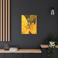 Thumbnail for Vibrant Yellow Canna Photo on Canvas, Wall Decor