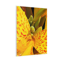 Thumbnail for Vibrant Floral Canvas Art - Bright Yellow Canna Artwork, Wall Decor, Gift for Nature Lovers, Home Decoration, Floral Prints