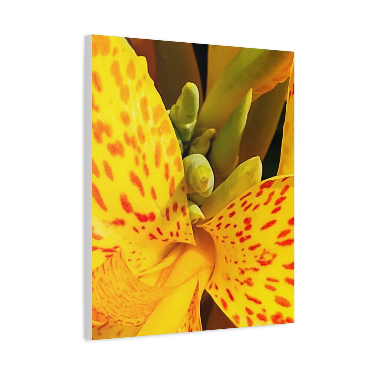 Vibrant Floral Canvas Art - Bright Yellow Canna Artwork, Wall Decor, Gift for Nature Lovers, Home Decoration, Floral Prints