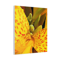 Thumbnail for Vibrant Floral Canvas Art - Bright Yellow Canna Artwork, Wall Decor, Gift for Nature Lovers, Home Decoration, Floral Prints