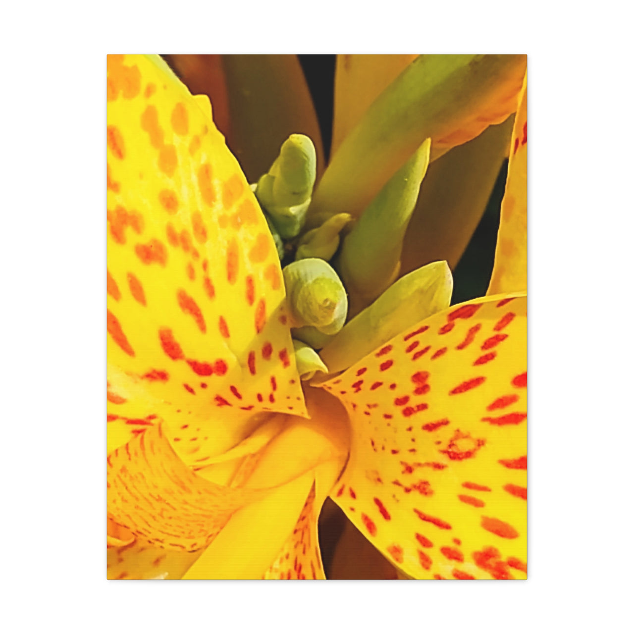 Vibrant Floral Canvas Art - Bright Yellow Canna Artwork, Wall Decor, Gift for Nature Lovers, Home Decoration, Floral Prints