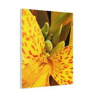 Thumbnail for Vibrant Floral Canvas Art - Bright Yellow Canna Artwork, Wall Decor, Gift for Nature Lovers, Home Decoration, Floral Prints