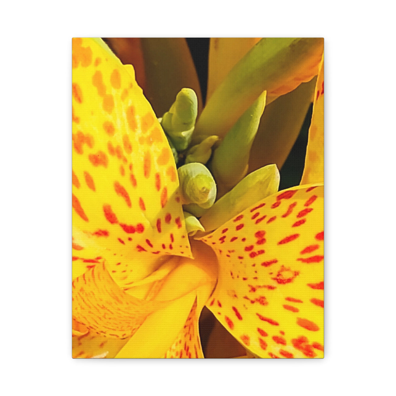 Vibrant Floral Canvas Art - Bright Yellow Canna Artwork, Wall Decor, Gift for Nature Lovers, Home Decoration, Floral Prints