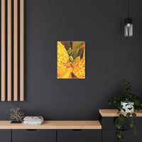 Thumbnail for Vibrant Floral Canvas Art - Bright Yellow Canna Artwork, Wall Decor, Gift for Nature Lovers, Home Decoration, Floral Prints