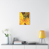 Thumbnail for Vibrant Floral Canvas Art - Bright Yellow Canna Artwork, Wall Decor, Gift for Nature Lovers, Home Decoration, Floral Prints