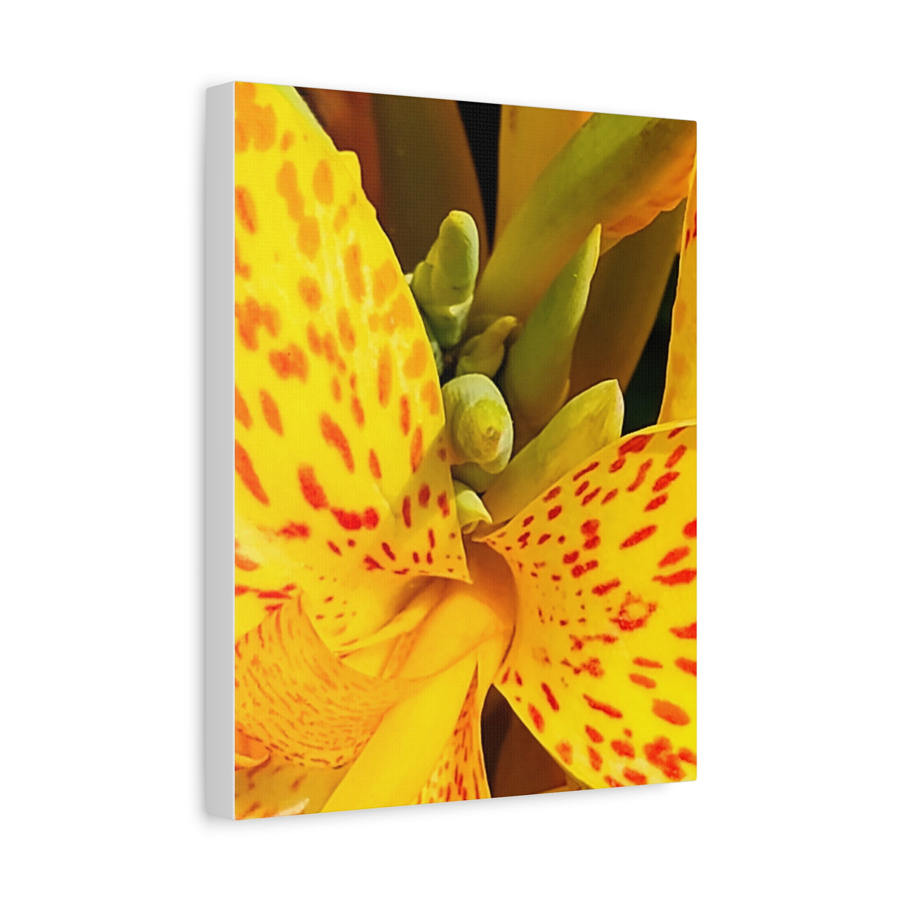 Vibrant Floral Canvas Art - Bright Yellow Canna Artwork, Wall Decor, Gift for Nature Lovers, Home Decoration, Floral Prints