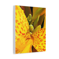 Thumbnail for Vibrant Floral Canvas Art - Bright Yellow Canna Artwork, Wall Decor, Gift for Nature Lovers, Home Decoration, Floral Prints