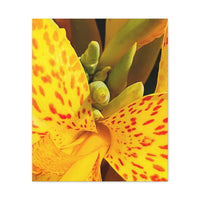 Thumbnail for Vibrant Floral Canvas Art - Bright Yellow Canna Artwork, Wall Decor, Gift for Nature Lovers, Home Decoration, Floral Prints