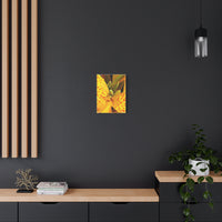 Thumbnail for Vibrant Floral Canvas Art - Bright Yellow Canna Artwork, Wall Decor, Gift for Nature Lovers, Home Decoration, Floral Prints