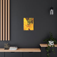 Thumbnail for Vibrant Yellow Canna Photo on Canvas, Wall Decor