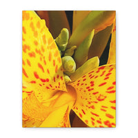 Thumbnail for Vibrant Floral Canvas Art - Bright Yellow Canna Artwork, Wall Decor, Gift for Nature Lovers, Home Decoration, Floral Prints