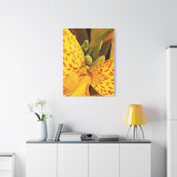 Thumbnail for Vibrant Floral Canvas Art - Bright Yellow Canna Artwork, Wall Decor, Gift for Nature Lovers, Home Decoration, Floral Prints